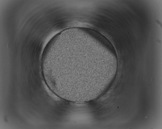 X0000103251152200809251345
