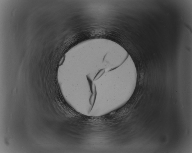 X0000103251153200809251344