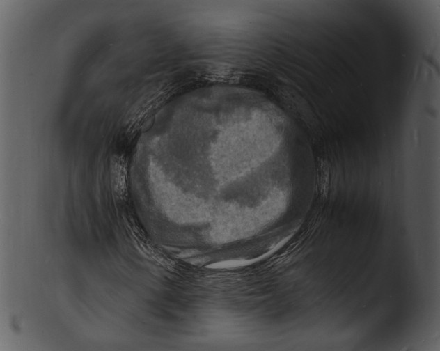 X0000103251154200809251344