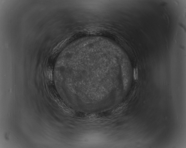 X0000103251155200809251344