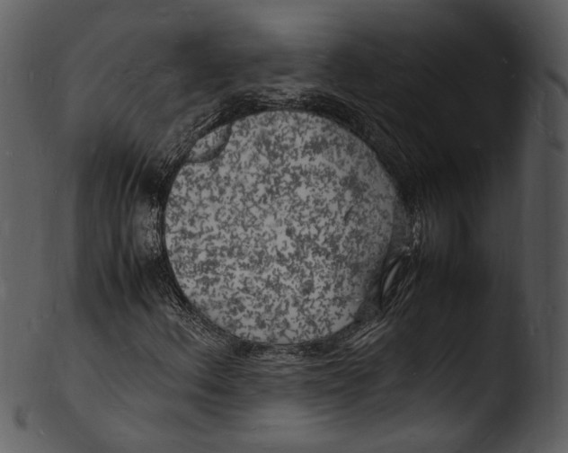 X0000103251156200809251344