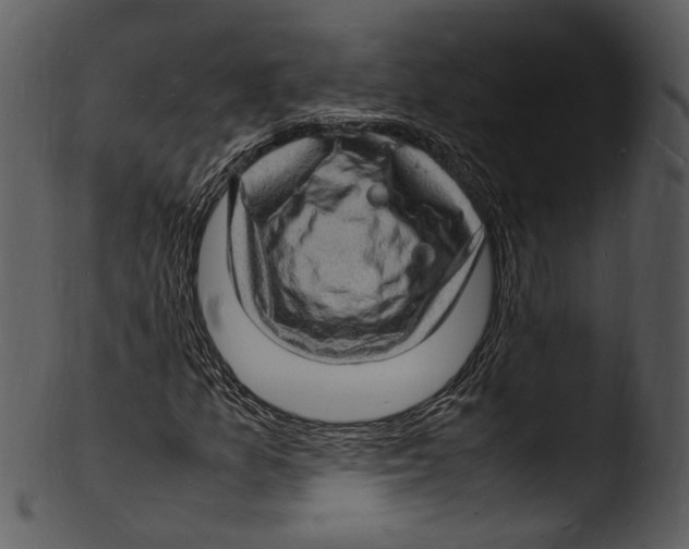 X0000103251157200809251344