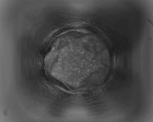 X0000103251158200809251344