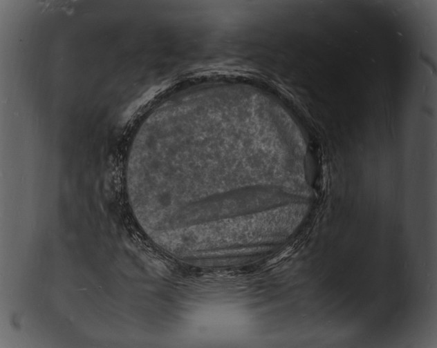 X0000103251159200809251344