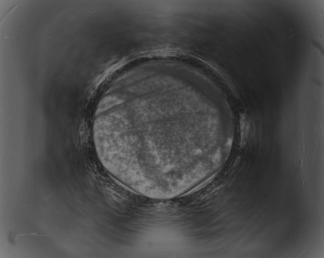 X0000103251160200809251344