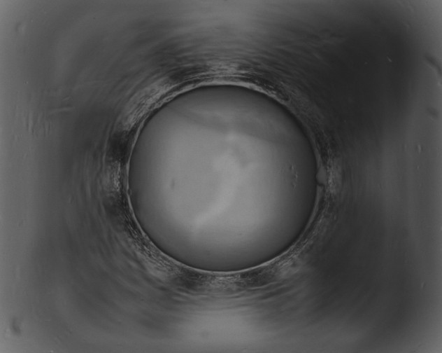 X0000103251161200809251344