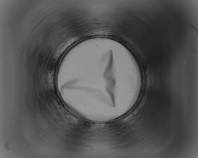 X0000103251162200809251344
