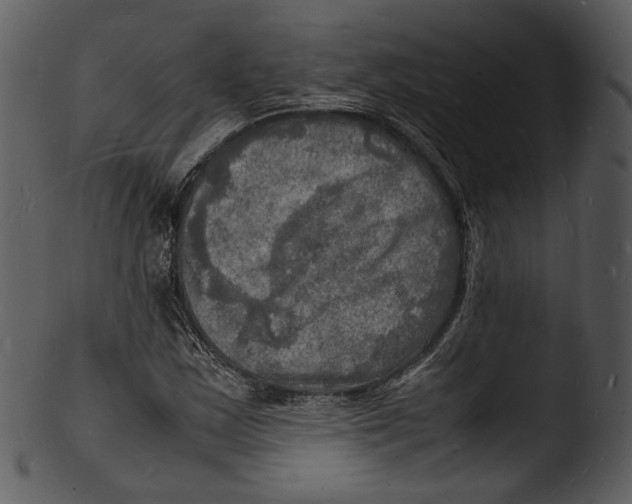 X0000103251163200809251344