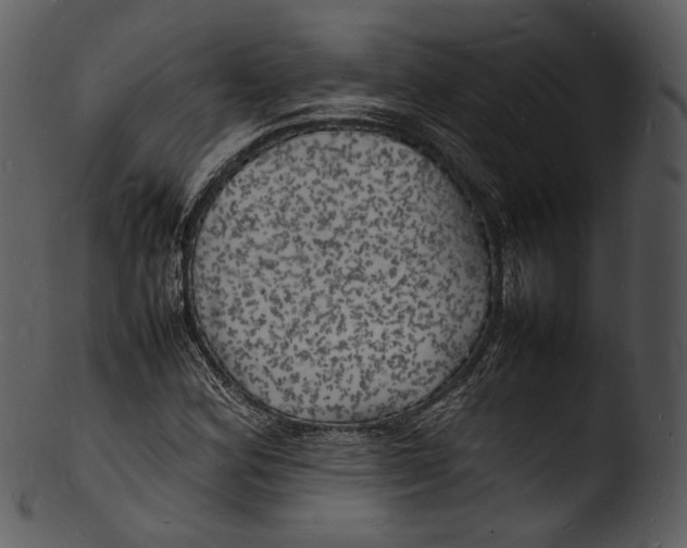 X0000103251164200809251344