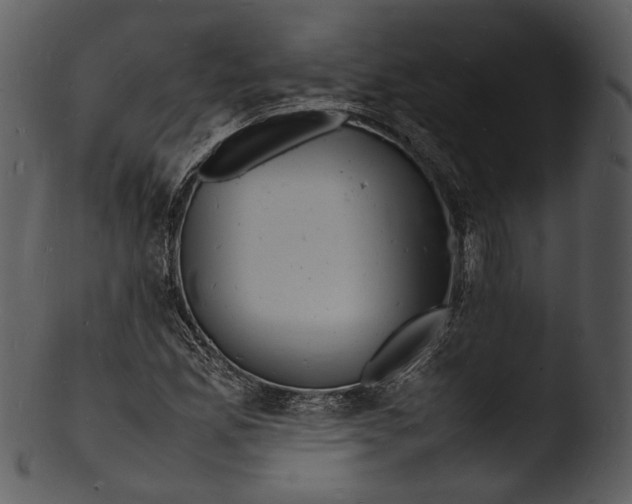 X0000103251165200809251344