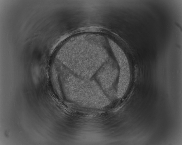 X0000103251166200809251344