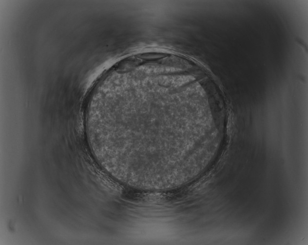 X0000103251167200809251344