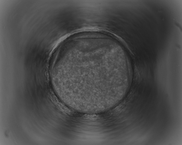 X0000103251168200809251344