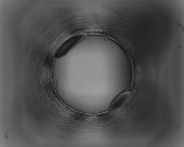 X0000103251169200809251344