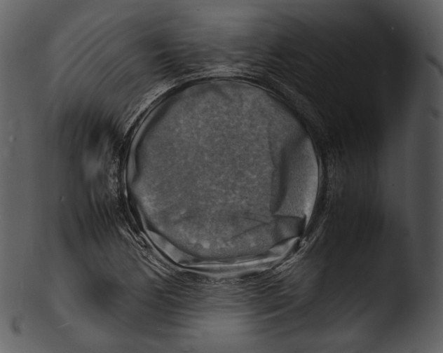 X0000103251170200809251344