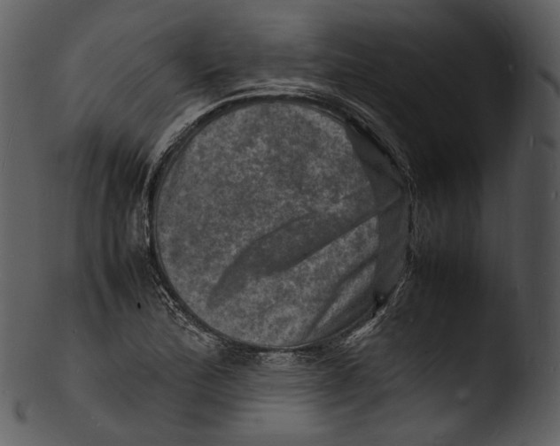 X0000103251172200809251344