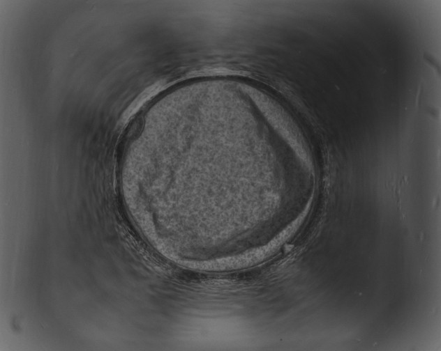 X0000103251173200809251344
