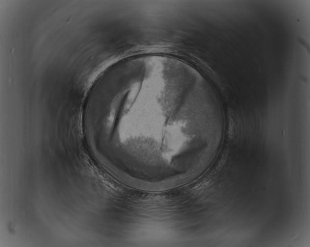 X0000103251174200809251344