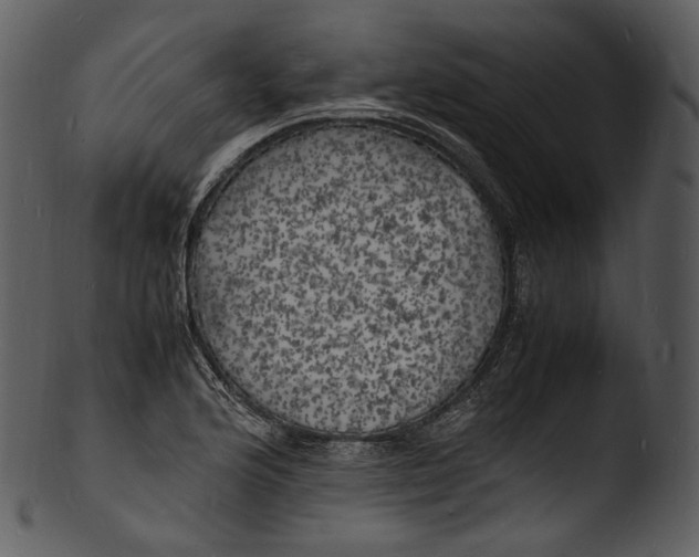X0000103251176200809251344