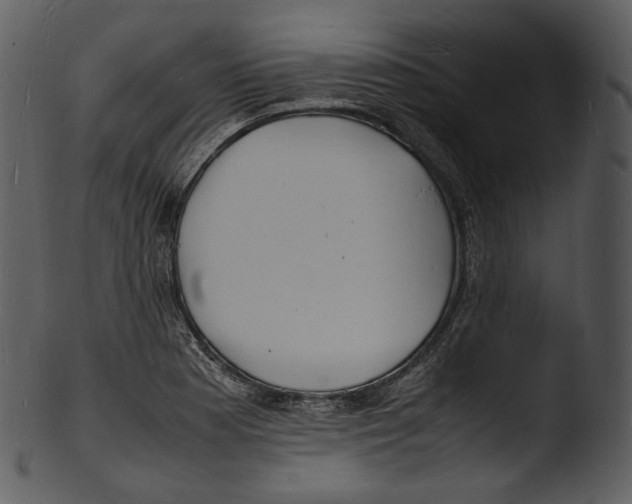 X0000103251177200809251344