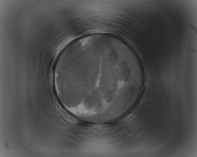 X0000103251179200809251344