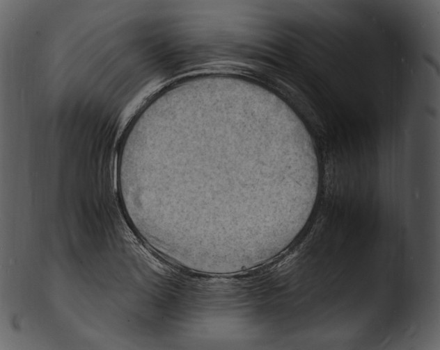 X0000103251180200809251344