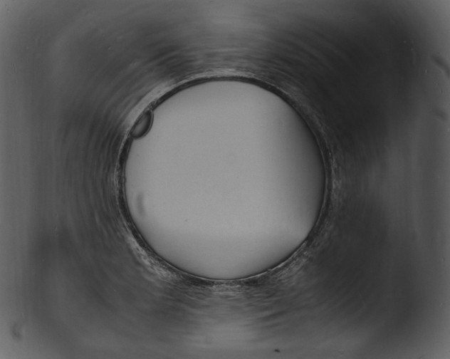 X0000103251181200809251344