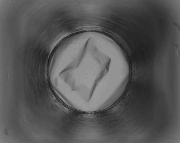 X0000103251182200809251344