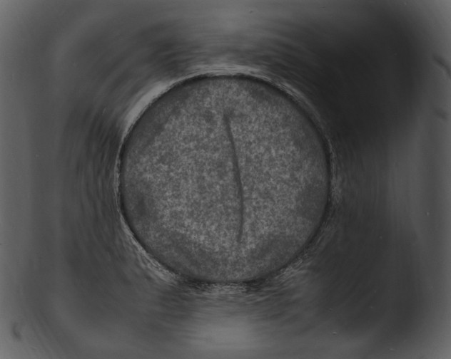 X0000103251183200809251344