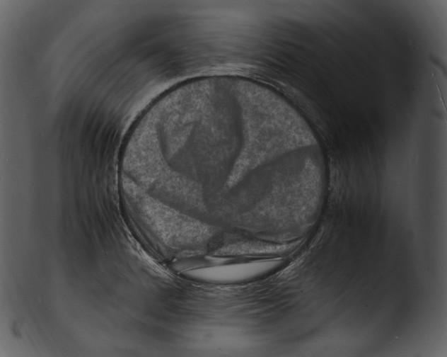 X0000103251184200809251344