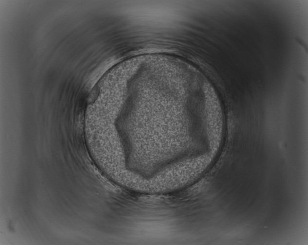 X0000103251185200809251344