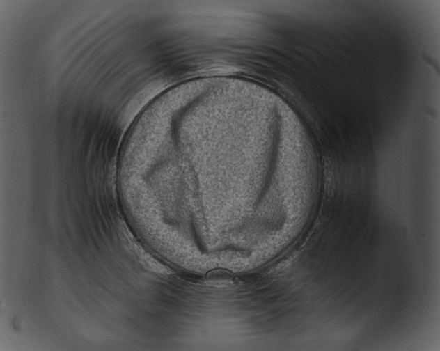 X0000103251186200809251344