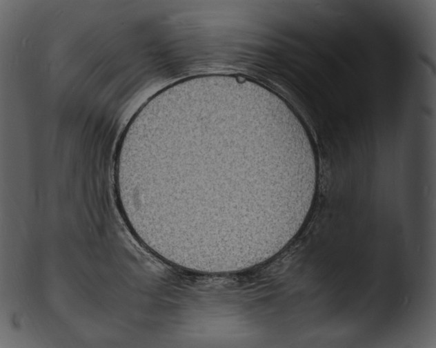 X0000103251187200809251344