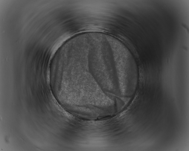 X0000103251188200809251344