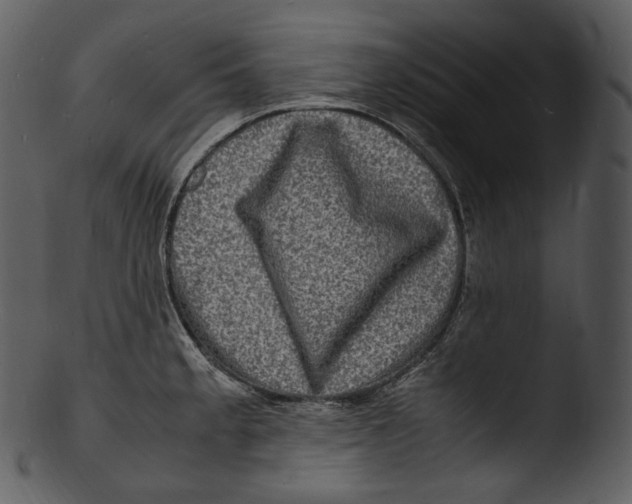 X0000103251189200809251344