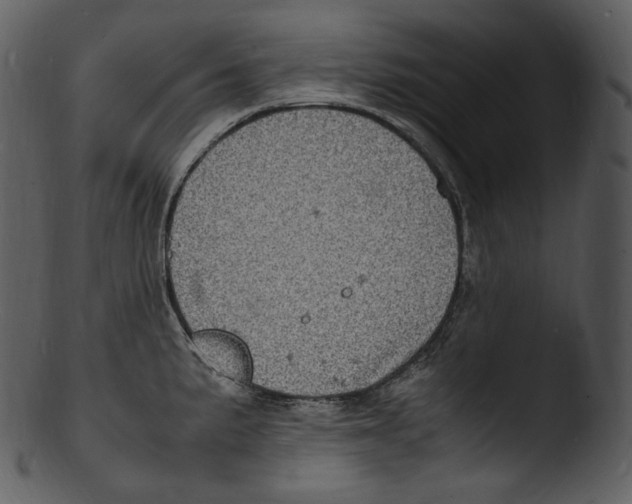 X0000103251191200809251344