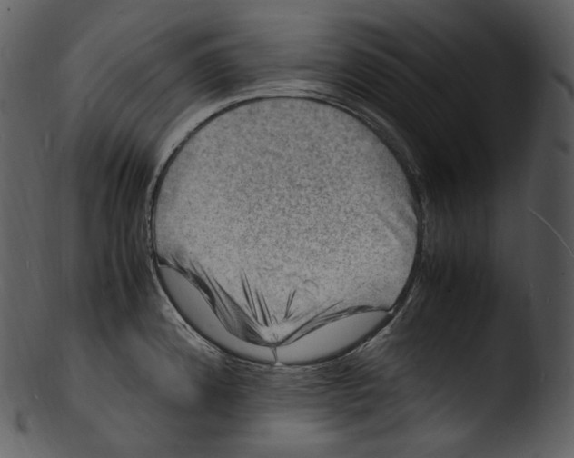 X0000103251192200809251344