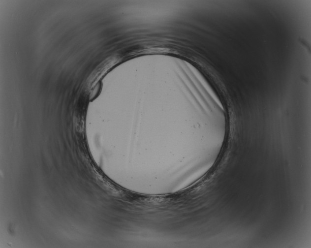 X0000103251193200809251344