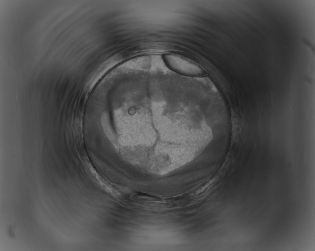 X0000103251194200809251344