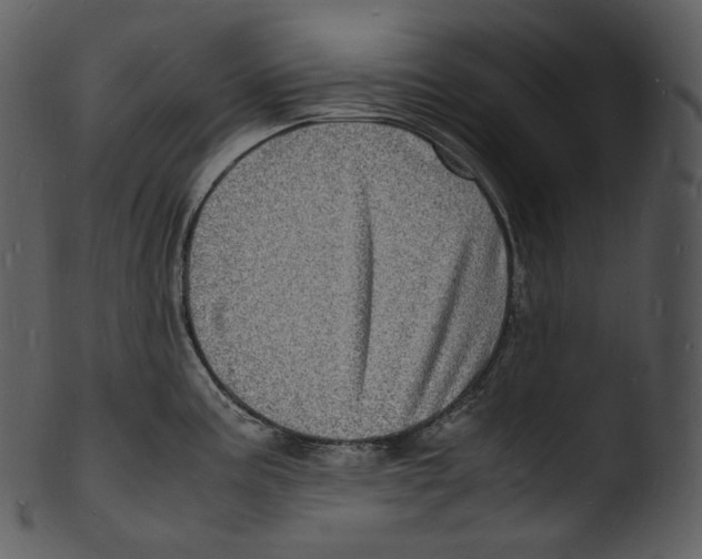 X0000103251195200809251344