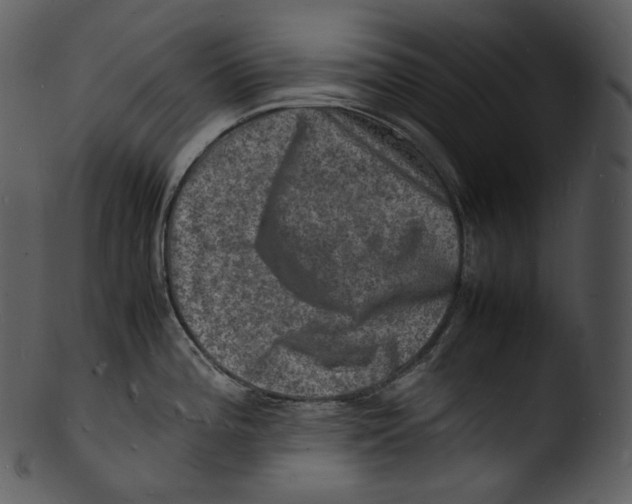 X0000103251196200809251344