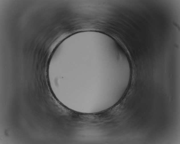 X0000103251197200809251344