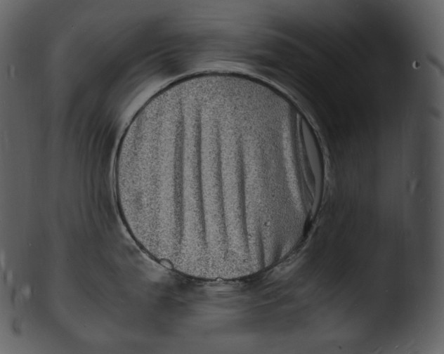 X0000103251199200809251344