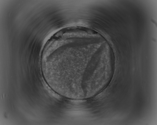 X0000103251200200809251344