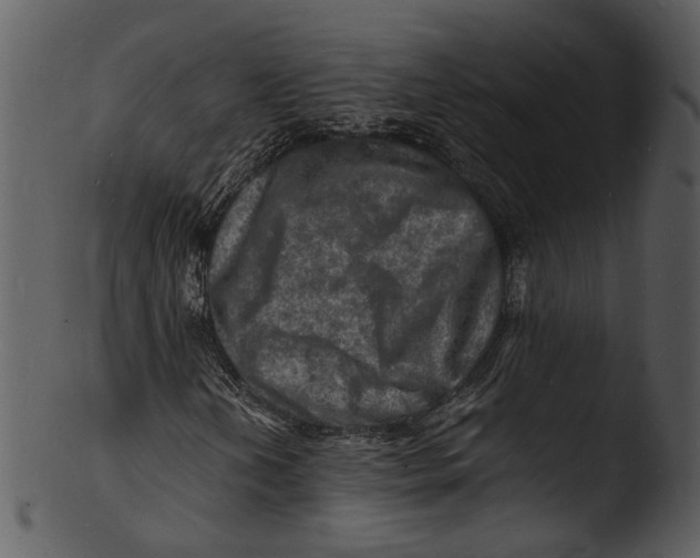 X0000103251202200809251343