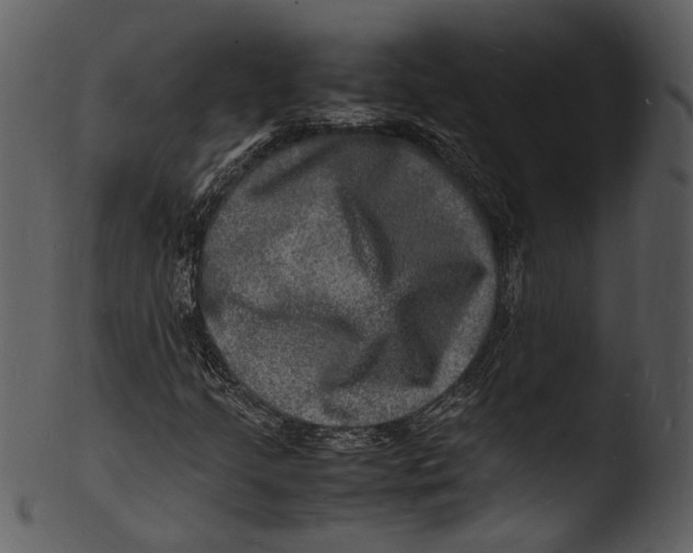 X0000103251205200809251343
