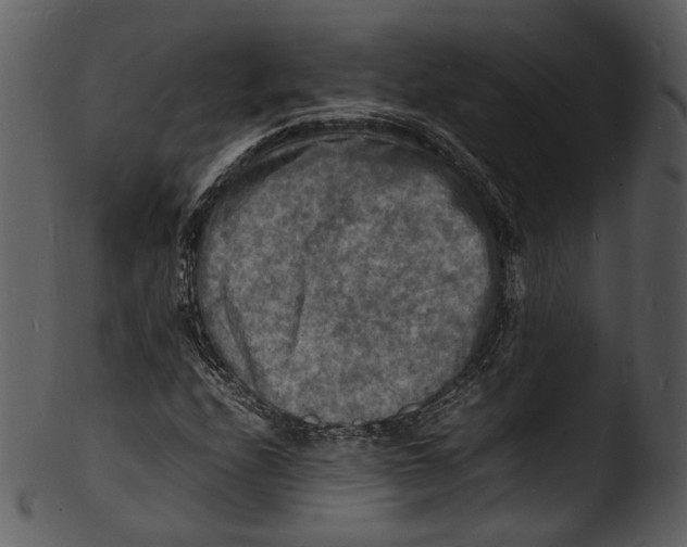 X0000103251208200809251343