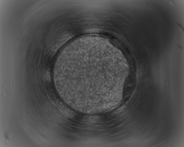 X0000103251209200809251343
