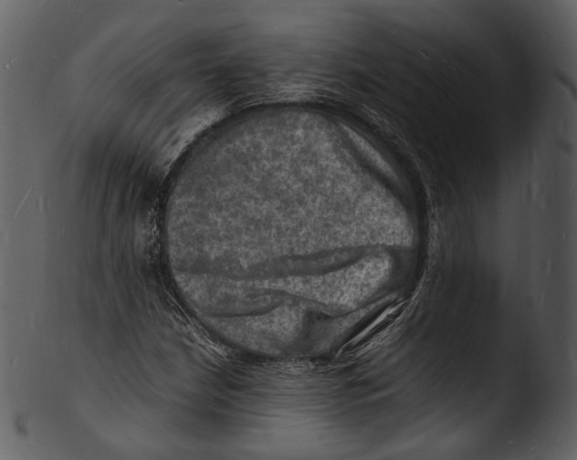X0000103251210200809251343