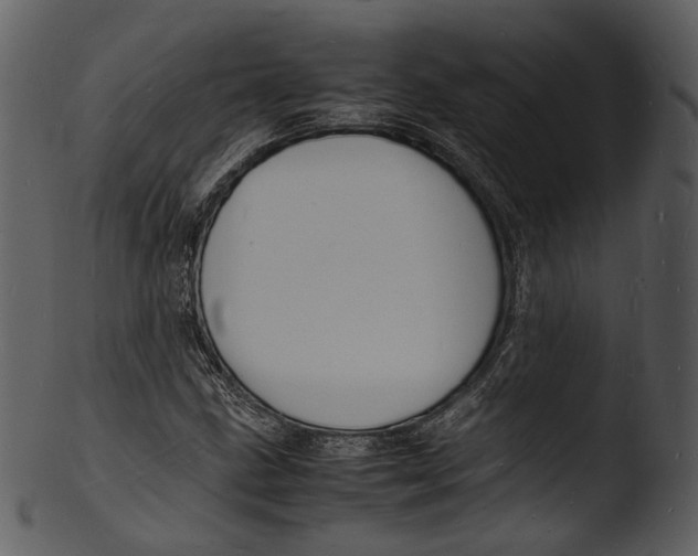 X0000103251211200809251343